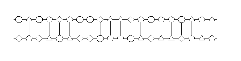 dna_whole